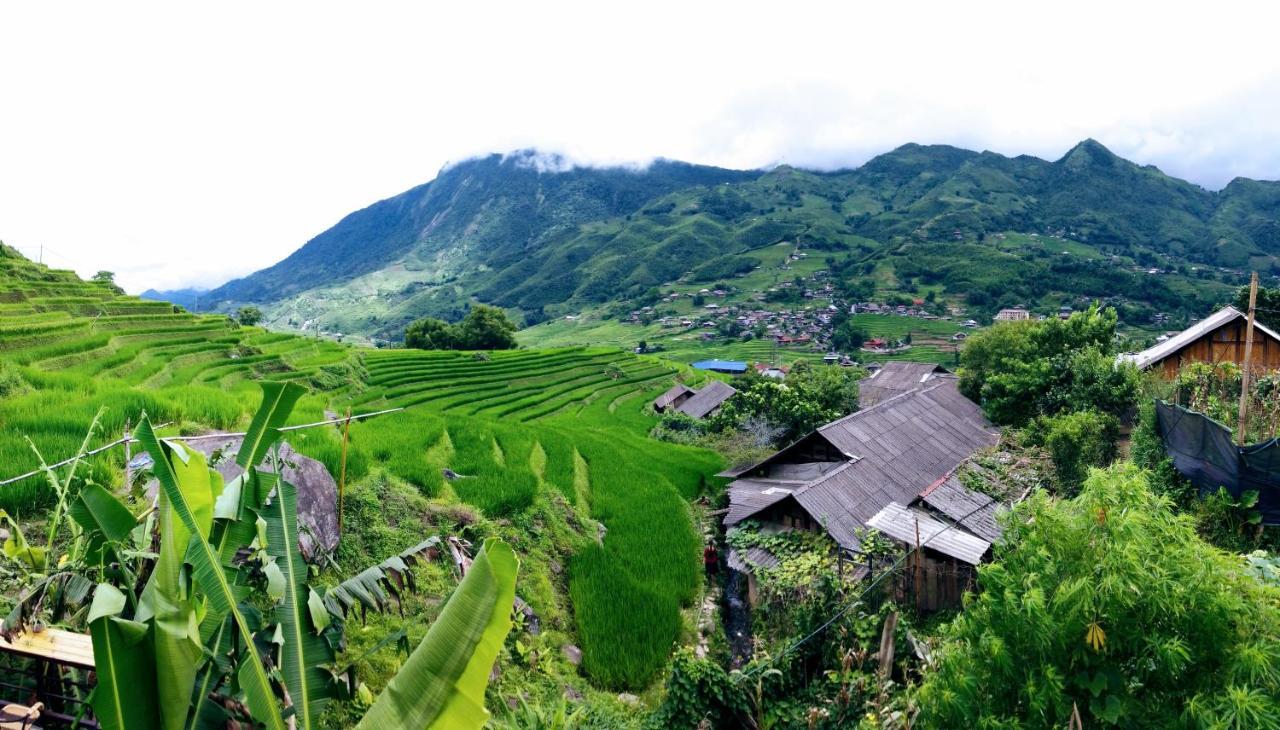 Surelee Homestay Sa Pa Exterior photo